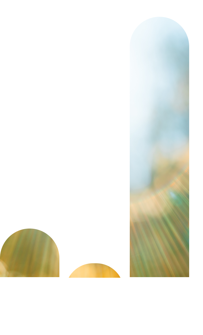 This bar chart presents in three columns the climate maturity of our portfolio companies according to the following categories : Commited, Aligning, Fully aligned