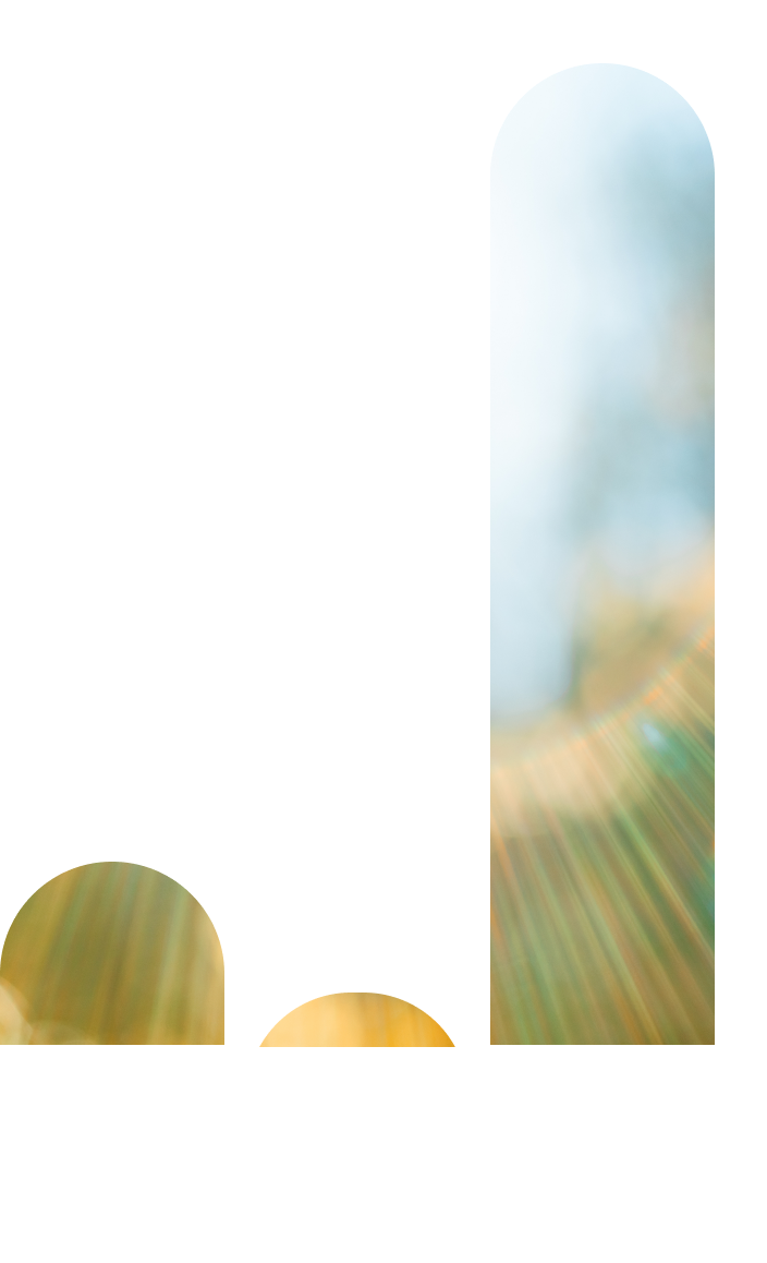 Cet histogramme présente en trois colonnes la maturité climatique de nos sociétés en portefeuille selon les catégories suivantes : engagé, en alignement, et pleinement aligné.