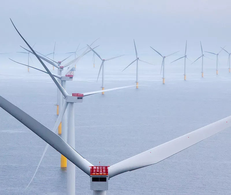 Éolinennes dans un cours d'eau.