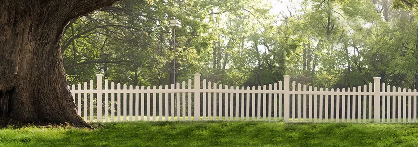 Default header image