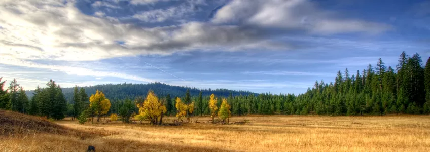 Default header image