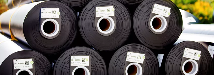 Default header image